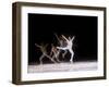 Sequence of Female Figure Skater in Action-null-Framed Premium Photographic Print