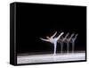 Sequence of Female Figure Skater in Action-null-Framed Stretched Canvas