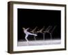 Sequence of Female Figure Skater in Action-null-Framed Photographic Print