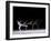 Sequence of Female Figure Skater in Action-null-Framed Photographic Print