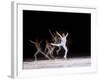 Sequence of Female Figure Skater in Action-null-Framed Photographic Print