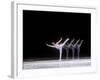 Sequence of Female Figure Skater in Action-null-Framed Photographic Print