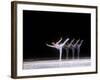 Sequence of Female Figure Skater in Action-null-Framed Photographic Print