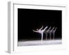 Sequence of Female Figure Skater in Action-null-Framed Photographic Print