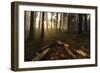 Sequoia and King's Canyon National Park, California-Marco Isler-Framed Photographic Print