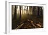 Sequoia and King's Canyon National Park, California-Marco Isler-Framed Photographic Print