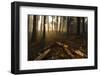 Sequoia and King's Canyon National Park, California-Marco Isler-Framed Photographic Print