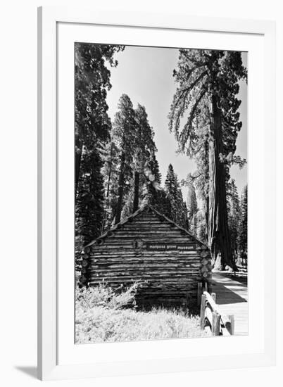 Sequoia - Mariposa Grove Museum - Yosemite National Park - Californie - United States-Philippe Hugonnard-Framed Photographic Print