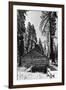 Sequoia - Mariposa Grove Museum - Yosemite National Park - Californie - United States-Philippe Hugonnard-Framed Photographic Print