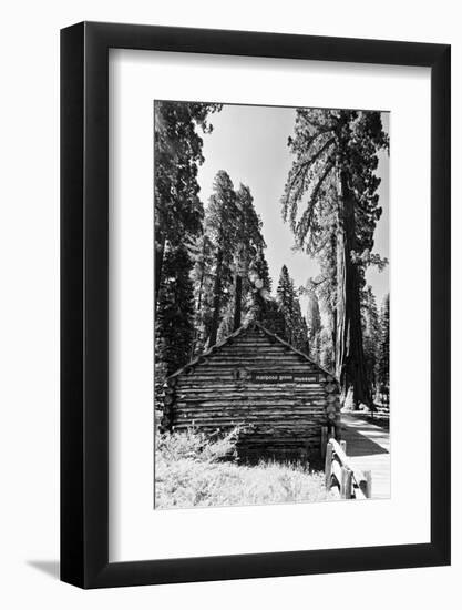 Sequoia - Mariposa Grove Museum - Yosemite National Park - Californie - United States-Philippe Hugonnard-Framed Photographic Print