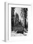 Sequoia - Mariposa Grove Museum - Yosemite National Park - Californie - United States-Philippe Hugonnard-Framed Photographic Print