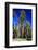 Sequoia - Mariposa Grove Museum - Yosemite National Park - Californie - United States-Philippe Hugonnard-Framed Photographic Print