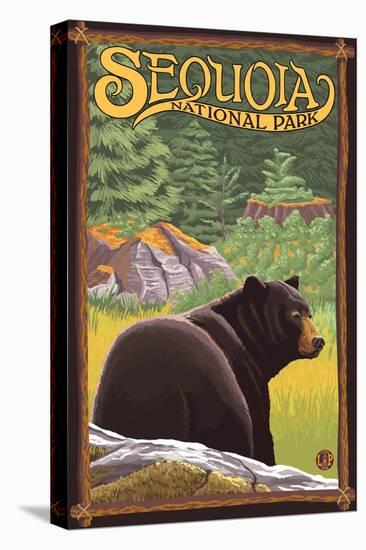 Sequoia Nat'l Park - Bear in Forest - Lp Poster, c.2009-Lantern Press-Stretched Canvas