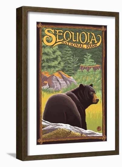 Sequoia Nat'l Park - Bear in Forest - Lp Poster, c.2009-Lantern Press-Framed Art Print