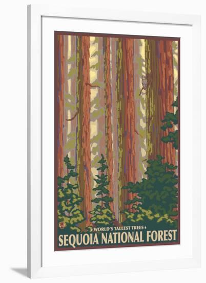 Sequoia National Forest, CA Redwood Trees-Lantern Press-Framed Art Print