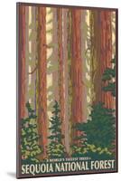 Sequoia National Forest, CA Redwood Trees-Lantern Press-Mounted Art Print