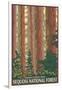 Sequoia National Forest, CA Redwood Trees-Lantern Press-Framed Art Print