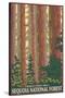 Sequoia National Forest, CA Redwood Trees-Lantern Press-Stretched Canvas