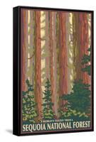 Sequoia National Forest, CA Redwood Trees-Lantern Press-Framed Stretched Canvas