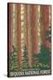 Sequoia National Forest, CA Redwood Trees-Lantern Press-Stretched Canvas