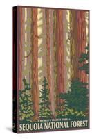 Sequoia National Forest, CA Redwood Trees-Lantern Press-Stretched Canvas