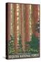 Sequoia National Forest, CA Redwood Trees-Lantern Press-Stretched Canvas