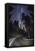 Sequoia National Park at Night-Jon Hicks-Framed Stretched Canvas