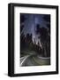 Sequoia National Park at Night-Jon Hicks-Framed Photographic Print