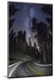 Sequoia National Park at Night-Jon Hicks-Mounted Photographic Print