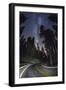 Sequoia National Park at Night-Jon Hicks-Framed Photographic Print