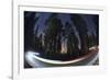 Sequoia National Park at Night-Jon Hicks-Framed Photographic Print