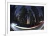 Sequoia National Park at Night-Jon Hicks-Framed Photographic Print