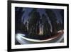 Sequoia National Park at Night-Jon Hicks-Framed Photographic Print