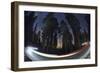 Sequoia National Park at Night-Jon Hicks-Framed Photographic Print