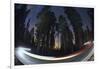 Sequoia National Park at Night-Jon Hicks-Framed Photographic Print