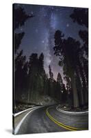 Sequoia National Park at Night-Jon Hicks-Stretched Canvas