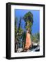 Sequoia National Park II-null-Framed Art Print