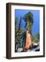 Sequoia National Park II-null-Framed Art Print