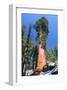 Sequoia National Park II-null-Framed Art Print