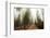 Sequoia National Park in USA-Andrushko Galyna-Framed Photographic Print