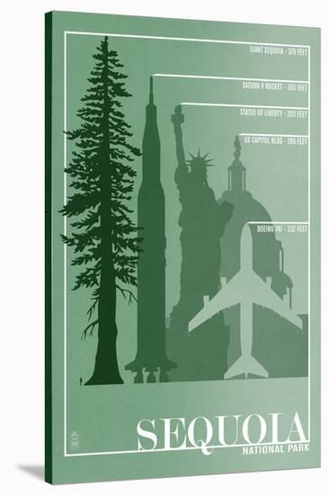 Sequoia National Park - Redwood Relative Sizes-Lantern Press-Stretched Canvas