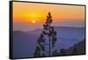 Sequoia National Park.-Jon Hicks-Framed Stretched Canvas