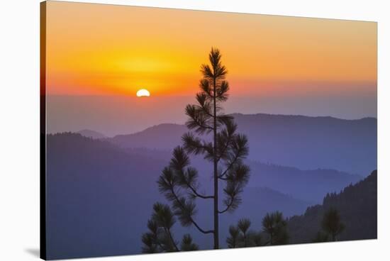 Sequoia National Park.-Jon Hicks-Stretched Canvas