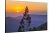 Sequoia National Park.-Jon Hicks-Stretched Canvas