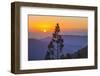 Sequoia National Park.-Jon Hicks-Framed Photographic Print