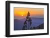 Sequoia National Park.-Jon Hicks-Framed Photographic Print