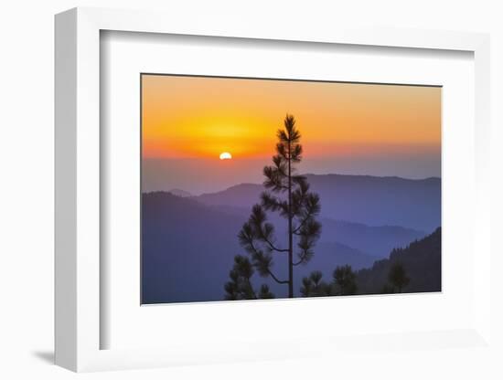 Sequoia National Park.-Jon Hicks-Framed Photographic Print