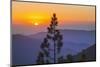 Sequoia National Park.-Jon Hicks-Mounted Photographic Print