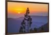 Sequoia National Park.-Jon Hicks-Framed Photographic Print