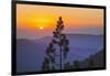 Sequoia National Park.-Jon Hicks-Framed Photographic Print